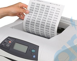 Этикетки в листах DIN-A4, Лист, белый, без надписи, маркируется с помощью: PLOTMARK, CMS-P1-PLOTTER, Офисные системы печати, тип м, Phoenix Contact, 5032280